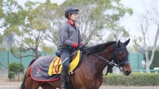 【注目馬動向】兵庫女王盃２着のプロミストジーンは５月１３日のエンプレス杯へ　シルク・ホースクラブが発表