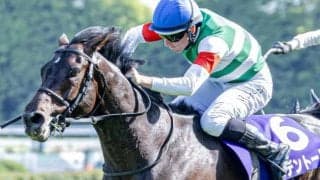 【天皇賞(春)想定馬・騎手】ヘデントール、クロワデュノールなど16頭