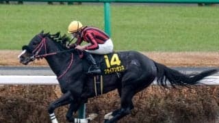 【アンタレスS予想】前走の距離に顕著な傾向あり！ 条件や相手関係、過去の傾向から人気ほどの信頼が置けない1頭とは