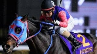 25年佐賀記念覇者のメイショウフンジン 要注目の障害デビューだ