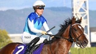 【マイラーズC想定馬・騎手】アドマイヤズーム、シックスペンスなど21頭