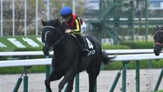 【青葉賞想定馬・騎手】ブラックオリンピア、ノーブルサヴェージなど24頭