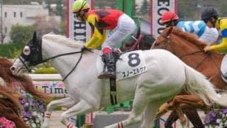 半兄はアオラキ 白毛のスノーエルヴァが連闘で初勝利なるか