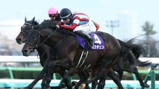 【皐月賞】ロブチェンは2枠4番…レーン騎乗カヴァレリッツォは最内枠へ