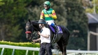 【今日の注目ポイント】中山GJでエコロデュエルが連覇を狙う