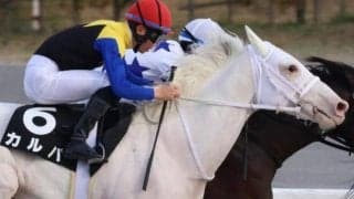 【吹田特別】半姉はソダシ＆ママコチャ 白毛のカルパが3勝目なるか