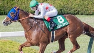 アンタレスSは人気馬が堅実 ローテーションに注目