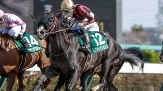 【アンタレスS予想】帝王賞への重要な前哨戦 差し脚鋭い実績馬に注目