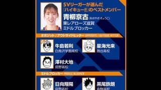 【ハイキュー‼×SVリーグ】青柳京古にとって『ハイキュー‼』はバレーの教科書 「作者の古舘春一先生に監督をやってみてほしい！」