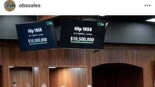 衝撃の１６億円超で落札！日米で大人気のフライトライン産駒がセール史上最高額をマーク　父は６戦無敗で現役を引退