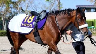 【皐月賞・最終調整】「武井厩舎で重賞勝ちたい」高杉吏麒騎手ラージアンサンブルでＶなるか　トレーナーは「まだウチで...」