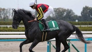 【競馬予想】皐月賞の有望株は弥生賞組にいる　混戦状態で浮上する伏兵探しなら「相手なりに走れる馬」