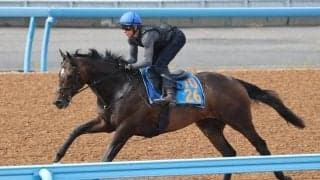 土曜阪神競馬場の注目激走馬…阪神１１Ｒアンタレスステークス・Ｇ３