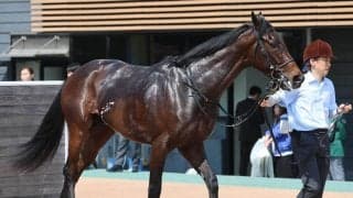 【福島９Ｒ・ひめさゆり賞】舟山瑠泉騎手が強気なリード！キンググローリーを３馬身差Ｖに導き「うまく競馬ができた」