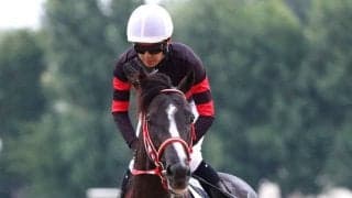 【中山グランドＪ】ＪＧ１初挑戦４・１億円馬ホウオウプロサンゲは４着　小野寺祐太騎手「暮れのＧ１に向けて…」