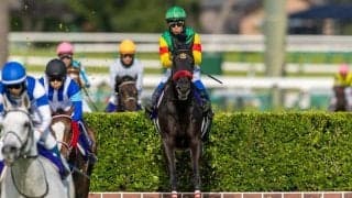 【中山GJ】エコロデュエルがレコードで大差圧勝…4億円ホースは4着