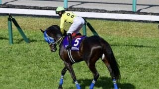 【中山GJ】石神深一、障害G1ラスト騎乗は8着