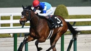 【福島牝馬S予想】意外とタフな福島芝1800m 前走馬体重が小さい馬の取扱いには要注意