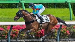 【中山8R】コズミックダンサーが6馬身差圧勝