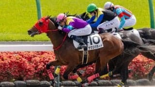 【中山2R】ディー騎乗 サウジバラードが初勝利