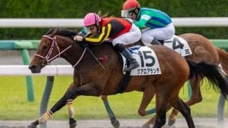 【中山1R】ドレフォン産駒・クアロアランチが人気に応える