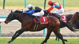 ヨーホーレイクが引退…競馬学校で乗馬に
