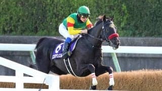 【中山グランドＪ】エコロデュエル連覇でＪＧ１・３連勝　草野太郎騎手「とんでもない強さでした」