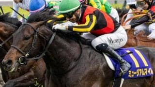 皐月賞は中穴が狙い目!? ローテーションにも注目だ