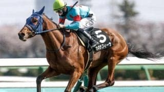 【福島牝馬S予想】ツーターンの福島芝1800m 機動力が明暗を分ける