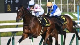 【皐月賞予想】やはりラッキーナンバーは存在する？ 過去データから探るGI皐月賞