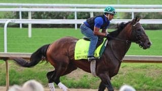 【オークローンＨ】昨年の米国年度代表馬のソヴリンティが負けた　４連勝でストップ　７歳ホワイトアバリオが復活Ｖ