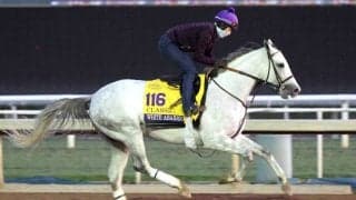 「えっ負けたん！」「こんなあっさり...」米年度代表馬が今季初戦“伝説のＧ２”でまさかの黒星　ネットは騒然