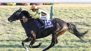 香港チャンピオンズデーの３競走に出走する日本馬６頭が無事に現地に到着　１７日に出発便欠航のアクシデントも...