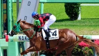 【中山６Ｒ】ホリエモンの愛馬イッテラッシャイが８馬身差の大楽勝　戸崎圭太騎手「今後は自分のリズムで…」
