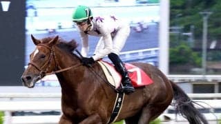 【高知・スピカ特別】ＧＯ！ＧＯ！スカンジナビア　高知移籍後に無双６連勝　井上瑛太騎手「一致団結して頑張りたい」