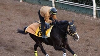 日曜福島競馬場の注目激走馬…福島１１Ｒ福島牝馬ステークス・Ｇ３