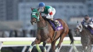 【浦和・しらさぎ賞枠順】重賞3勝のホーリーグレイルは8枠13番 春の南関東女王決定戦