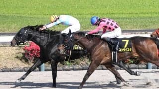 【中山１０Ｒ・京葉Ｓ】ナムラフランクが好位から抜け出しリステッド初勝利　岩田望来騎手「強い競馬でした」