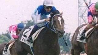 『ウマ娘』ではどこか影を背負ったキャラクター　最高峰の舞台で\"一等星\"の輝きを放ったアドマイヤベガ