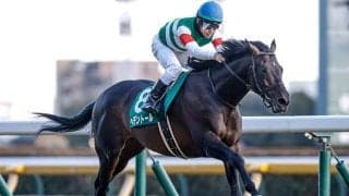 【天皇賞(春)】ヘデントール、クロワデュノールなどが登録