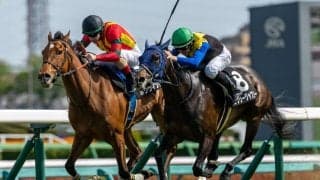 【野島崎特別】レーン騎乗 ラブリージャブリーがハナ差V、外から力強く差し切る