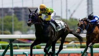 【中山5R】武豊マーゴットブローが抜け出しV…断然人気グリオンヴールは8着