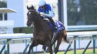 【マイラーズC】アドマイヤズーム、シックスペンスなどが登録