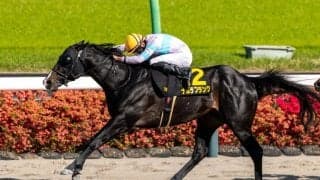 【京葉S】ナムラフランクが抜け出してオープン2勝目…エコロエイトはアクシデントで9着