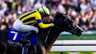 【香港チャンピオンズデー】日本馬6頭、香港入り…各陣営問題なく本番へ