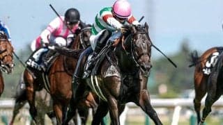 JRAでは3重賞 香港チャンピオンズデーに日本馬6頭出走/今週の競馬界の見どころ