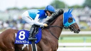 【マイラーズC登録馬】アドマイヤズームなど19頭