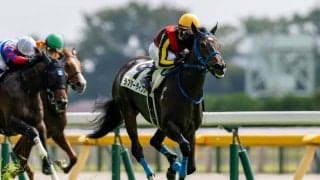 【フローラS登録馬】ラフターラインズなど16頭