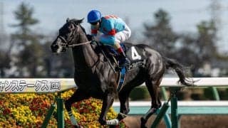 【青葉賞登録馬】ノーブルサヴェージなど25頭