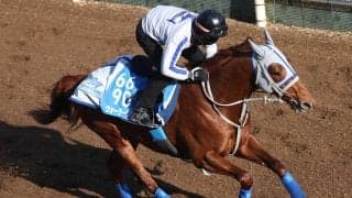 【読売マイラーズＣ・山下の特注馬】マイルＣＳ３着の舞台　ウォーターリヒトが重賞２勝目へ